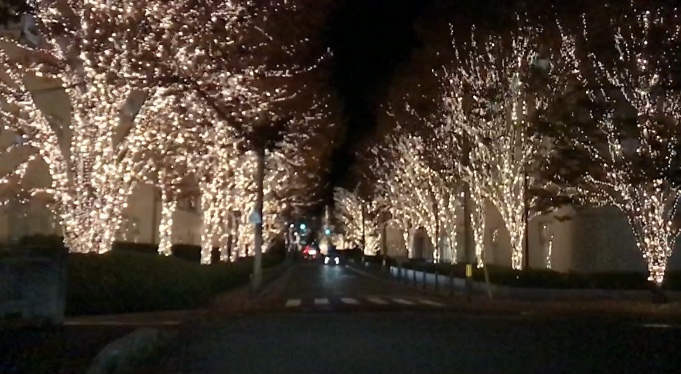 京都でクリスマスデートといえば ロームのイルミネーション が定番です Tabishu